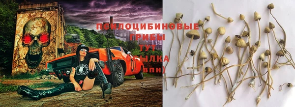 кокаин премиум Каменногорск