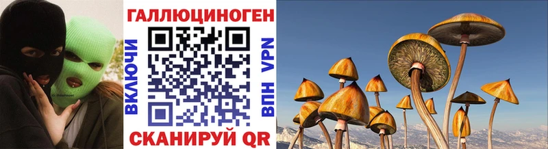 Псилоцибиновые грибы мухоморы  Купить  Вятские Поляны 