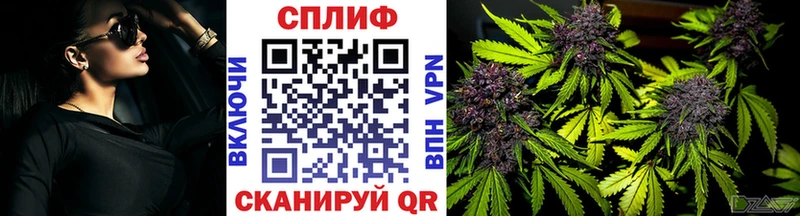 Купить закладки  Вятские Поляны  Каннабис марихуана 